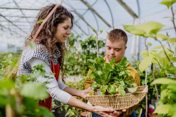 greenhouse 3